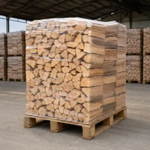 Legna di faggio secca 25 cm – Pallet 1 metro stero